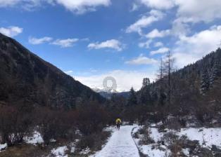 「模特出身的王鸥是如何成为《伪装者》女主的?她的演技怎么样?」-专业问答平台,解答你的疑问