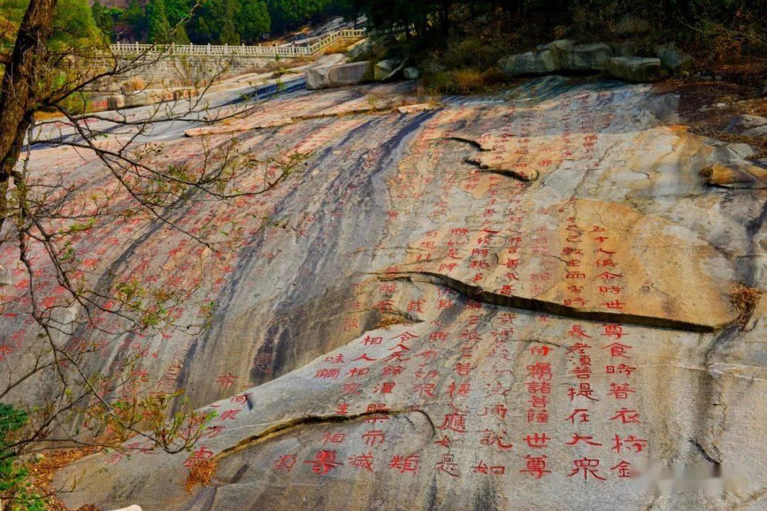 逃离幽灵之森